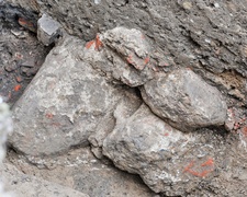 Archeologiczne odkrycie przy muzeum. Naukowcy odnaleźli fragmenty średniowiecznej baszty