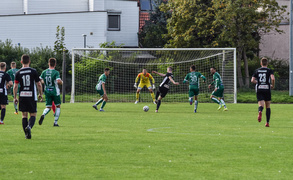 Sokół odleciał z punktami