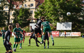 Sokół odleciał z punktami