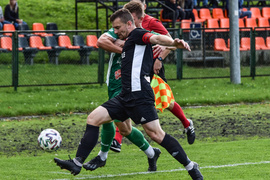 Sokół odleciał z punktami