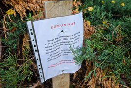 Kochanowskiego jak nowa