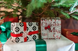 Na święta... Elbląscy kameraliści