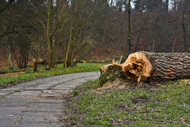 Jak było kiedyś w amfiteatrze i w parku?