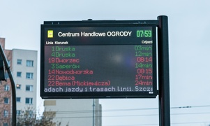 Zielony autobus ulicami miasta mknie...  (nasz raport z funkcjonowania miejskiej komunikacji) 