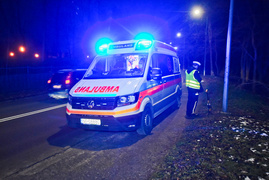 Usterka pojazdu doprowadziła do uderzenia w drzewo