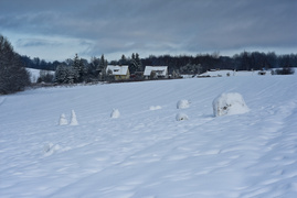 Zimowa armia bałwanów
