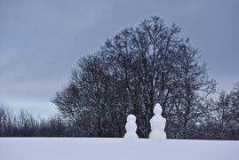 Zimowa armia bałwanów