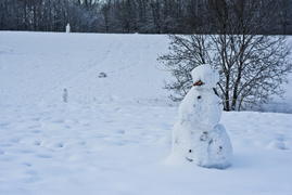 Zimowa armia bałwanów