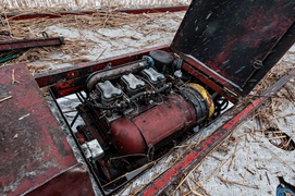 Czas na żniwa. Trzcinowe